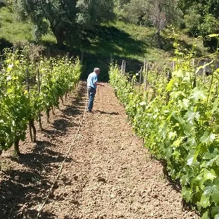 San Giorgio Séjour à la ferme *