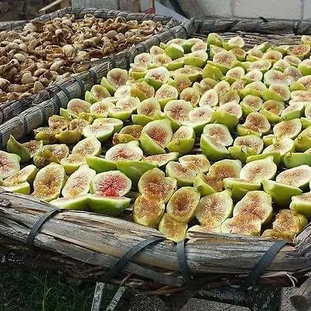 Gospodarstwo agroturystyczne San Giorgio *